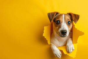 ai generado perro echar un vistazo fuera mediante Rasgado agujero en amarillo papel antecedentes foto