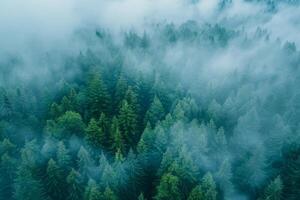 AI generated Aerial view of Nordic forest in fog. Nature landscape photo