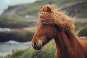 ai generado islandés caballo con viento estropeado melena foto
