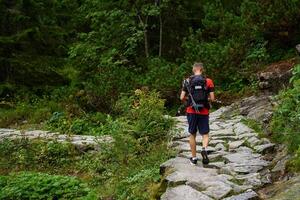 hombre excursionismo en bosque con mochila foto