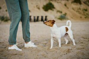 mujer y su perro tener divertido a arena mar playa foto