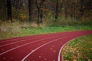 Red runninng race track with lanes at autumn park photo