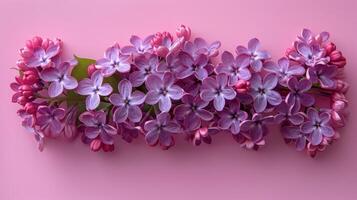 AI generated Purple Flowers on Pink Background photo