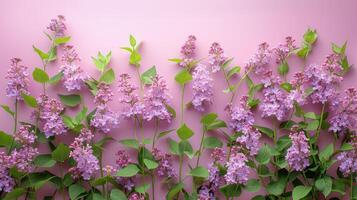 ai generado racimo de púrpura flores en rosado antecedentes foto