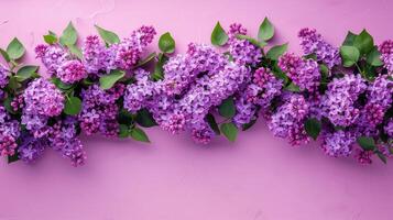 AI generated Cluster of Purple Flowers on Pink Background photo