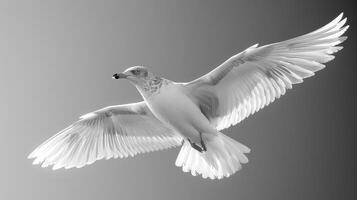 ai generado blanco pájaro volador en gris cielo foto