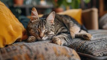 AI generated Cat Lounging on Couch Next to Potted Plant photo