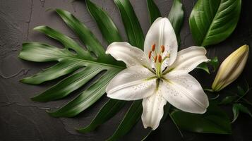 ai generado ramo de flores de blanco lirios siguiente a blanco papel foto