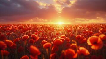 AI generated Field of Red Flowers Under Cloudy Sky photo
