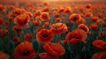 ai generado naranja flores campo con Dom antecedentes foto