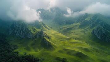 AI generated Aerial View of Lush Green Valley photo