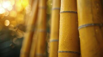 AI generated Close Up of Yellow Bamboo Poles photo