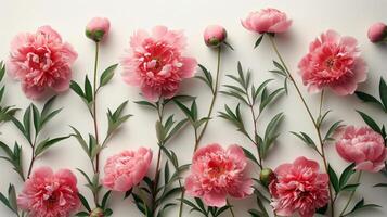 AI generated Pink and White Flowers on White Surface photo