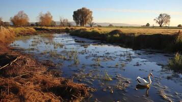 AI generated Polluted wetland with wildlife at risk. Generative AI photo