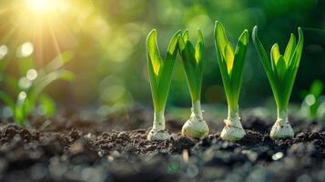AI generated Sprouting Plant Close Up photo