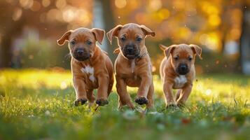 AI generated Three Puppies Running Through Grass photo