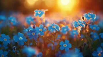 AI generated Field of Blue Flowers With Sun Background photo