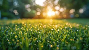 ai generado luz de sol mediante lluvia en césped foto