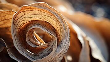 AI generated Closeup of a curled, dry leaf. Generative AI photo