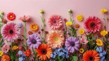 AI generated Group of Colorful Flowers on Pink Wall photo