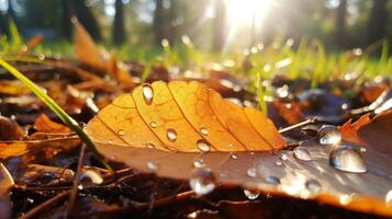 AI generated Fallen leaves with dew in the sunlight. Generative AI photo