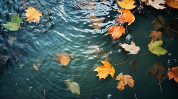 AI generated Leaves floating on the surface of a pond. Generative AI photo