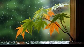 ai generado hojas en un ventana umbral con lluvia afuera. generativo ai foto