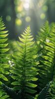 ai generado verde helecho hoja en medio de bosque foto