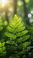 ai generado cerca arriba de verde planta en bosque foto