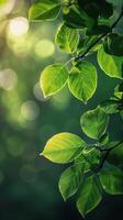 AI generated Close Up of Tree Branch With Leaves photo