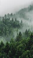 AI generated Dense Forest Shrouded in Fog photo