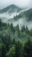 AI generated Misty Forest With Dense Trees photo