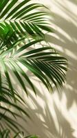 AI generated Palm Tree Against White Wall photo