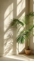 AI generated Palm Tree Casting Shadow on Wall photo