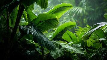 ai generado el lozano verde hojas de un tropical selva. generativo ai foto