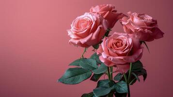 AI generated Pink Roses on Pink Background photo