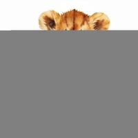 AI generated Watercolor Painting of a Lion Cub photo