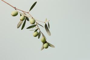 AI generated olives on a branch with green leaves photo