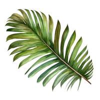 AI generated Hand drawn watercolor painting of propical palm leaf photo