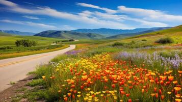 AI generated A road surrounded by fields of colorful wildflowers. Generative AI photo
