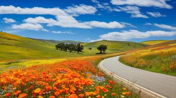 AI generated A road surrounded by fields of vibrant wildflowers. Generative AI photo