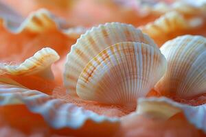 AI generated Close Up of Assorted Seashells photo