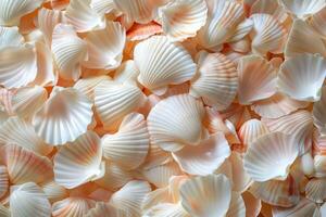 AI generated Sea Shells Arranged on Table photo