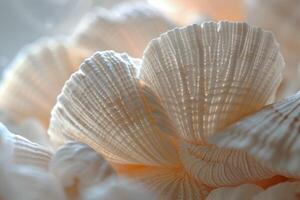 AI generated Close Up of Assorted Seashells photo