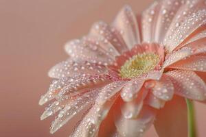 AI generated Pink Flower With Water Droplets photo