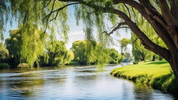 AI generated A tranquil riverbank with weeping willow trees. Generative AI photo