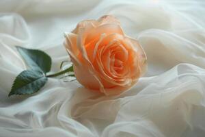 AI generated Single Rose on White Blanket photo