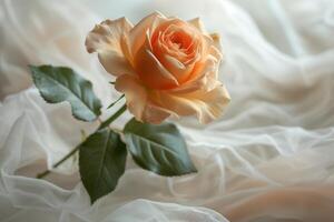 AI generated Orange Rose on White Sheet photo