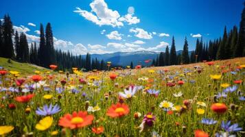 AI generated A vibrant meadow filled with wildflowers and positivity. Generative AI photo