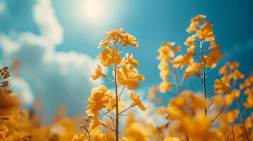 AI generated Field of Yellow Flowers Under Blue Sky photo